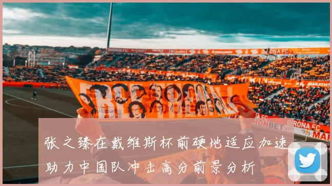 张之臻在戴维斯杯前硬地适应加速助力中国队冲击高分前景分析